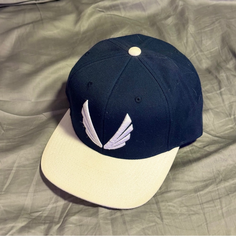 Original ASRV logo snapback hat Aesthetic Revolution